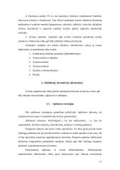 Alternatyvus tyrimų organizavimas 11 puslapis