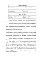 Alternatyvus tyrimų organizavimas 13 puslapis