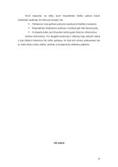 Alternatyvus tyrimų organizavimas 14 puslapis