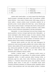 Alternatyvus tyrimų organizavimas 5 puslapis