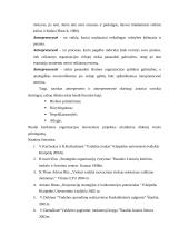 Antreprenerystės turinys ir jos reikšmė verslo evoliucijoje 14 puslapis