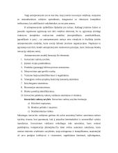 Antreprenerystės turinys ir jos reikšmė verslo evoliucijoje 3 puslapis