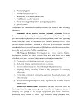 Antreprenerystės turinys ir jos reikšmė verslo evoliucijoje 6 puslapis