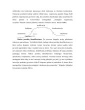 Antreprenerystės turinys ir jos reikšmė verslo evoliucijoje 7 puslapis