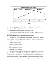 Antreprenerystės turinys ir jos reikšmė verslo evoliucijoje 8 puslapis