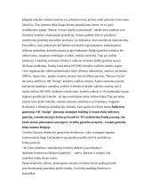 Antreprenerystės turinys ir jos reikšmė verslo evoliucijoje 10 puslapis