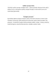 Aplinkos apsaugos ekonominės problemos ir jų sprendimo priemonės 10 puslapis