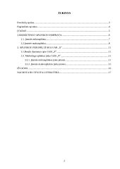 Aplinkos veiksnių įtaka įmonėje 2 puslapis