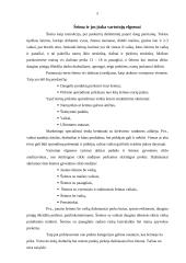 Aplinkos veiksnių įtaka vartotojų elgsenai 4 puslapis