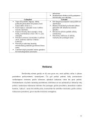 Aplinkosauga ir reklama Druskininkų mieste 12 puslapis