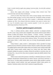 Aplinkosauga ir reklama Druskininkų mieste 6 puslapis