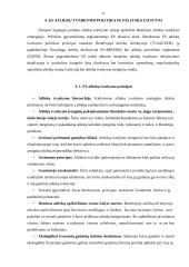 Aplinkosaugos reikalavimai Europos Sąjungos šalyse 11 puslapis