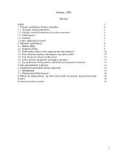 Apribojimų teorija (Theory of Constraints) ir jos taikymas 2 puslapis