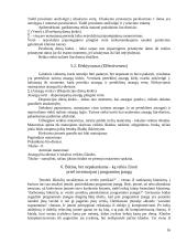 Apribojimų teorija (Theory of Constraints) ir jos taikymas 16 puslapis