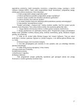 Apribojimų teorija (Theory of Constraints) ir jos taikymas 17 puslapis