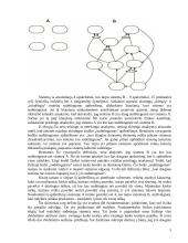 Apribojimų teorija (Theory of Constraints) ir jos taikymas 5 puslapis