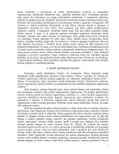 Apribojimų teorija (Theory of Constraints) ir jos taikymas 7 puslapis