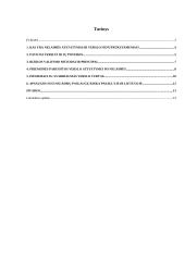 Apsaugos nuo nelaimių politika