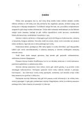 Apsaugos nuo nelaimių politika 2 puslapis