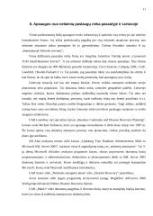 Apsaugos nuo nelaimių politika 11 puslapis