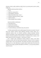 Apsaugos nuo nelaimių politika 10 puslapis