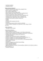 Apsaugos priemonės 4 puslapis