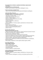 Apsaugos priemonės 6 puslapis