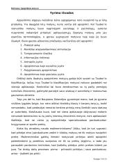 Apsipirkimo motyvai 13 puslapis