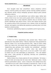 Apsipirkimo motyvai 7 puslapis