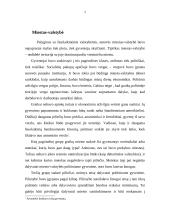 Aristotelio valstybės santvarkos tobulumo idėja 4 puslapis