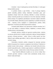 Aristotelio valstybės santvarkos tobulumo idėja 10 puslapis