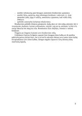 Asmeninis bendravimo įvaizdžio kūrimas organizacijoje 2 puslapis