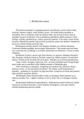 Asmeninis bendravimo įvaizdžio kūrimas organizacijoje 3 puslapis