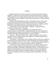 Asmeninis bendravimo įvaizdžio kūrimas organizacijoje 4 puslapis