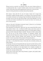 Aš esu vadovas 4 puslapis