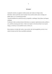 Aš esu vadovas 9 puslapis