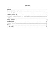 Atmosferos apsaugos Joniškio mieste įvertinimas 2 puslapis