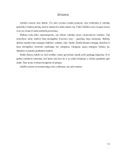 Atmosferos apsaugos Joniškio mieste įvertinimas 13 puslapis