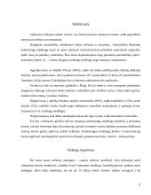 Atmosferos apsaugos Joniškio mieste įvertinimas 9 puslapis