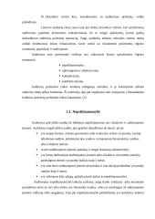 Auditorių etikos kodeksas 2 puslapis