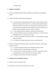 Auditorių etikos kodeksas 10 puslapis