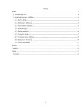 Austrijos ir Lietuvos makroekonominių rodiklių palyginimas 2 puslapis