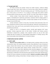 Austrijos ir Lietuvos makroekonominių rodiklių palyginimas 4 puslapis