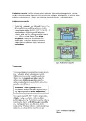Aušinimo sistemos paskirtis 4 puslapis