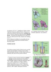 Aušinimo sistemos paskirtis 5 puslapis