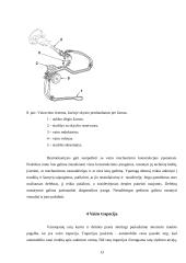 Automobilio vairo mechanizmas 13 puslapis