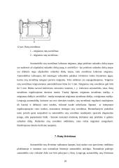 Automobilio vairo mechanizmas 18 puslapis