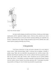 Automobilio vairo mechanizmas 20 puslapis