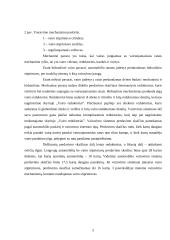 Automobilio vairo mechanizmas 5 puslapis