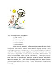 Automobilio vairo mechanizmas 6 puslapis